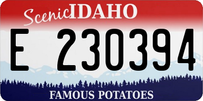 ID license plate E230394