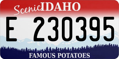 ID license plate E230395