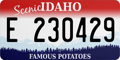 ID license plate E230429