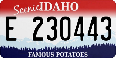 ID license plate E230443