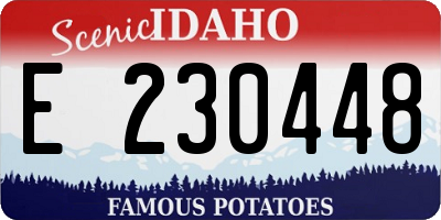 ID license plate E230448