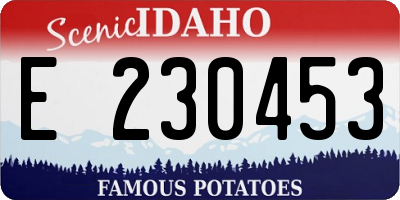 ID license plate E230453