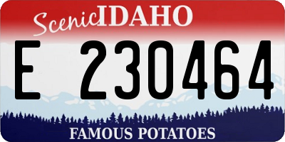 ID license plate E230464