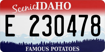 ID license plate E230478