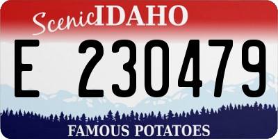ID license plate E230479