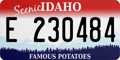 ID license plate E230484