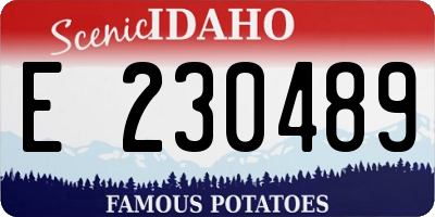 ID license plate E230489