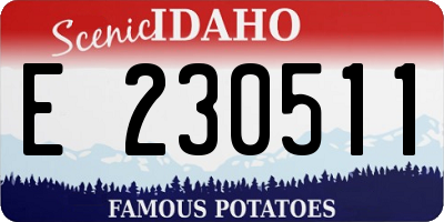ID license plate E230511