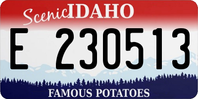ID license plate E230513