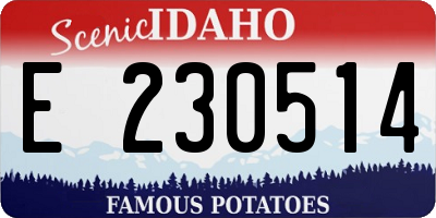 ID license plate E230514