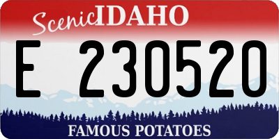 ID license plate E230520