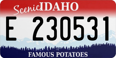 ID license plate E230531