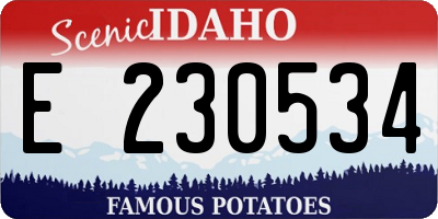 ID license plate E230534