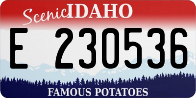 ID license plate E230536