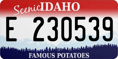 ID license plate E230539