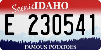ID license plate E230541