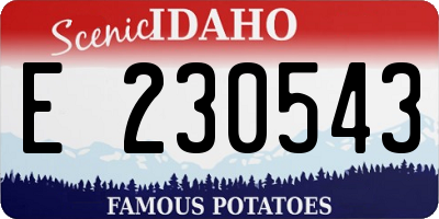 ID license plate E230543