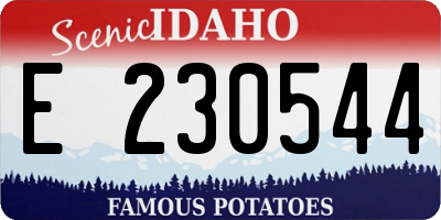 ID license plate E230544