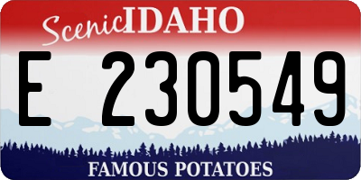 ID license plate E230549