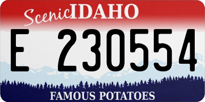 ID license plate E230554