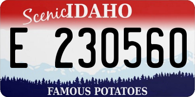 ID license plate E230560