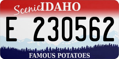 ID license plate E230562
