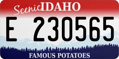 ID license plate E230565
