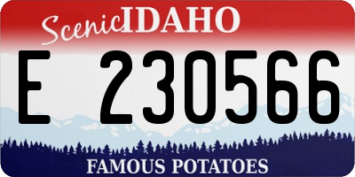 ID license plate E230566