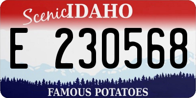 ID license plate E230568