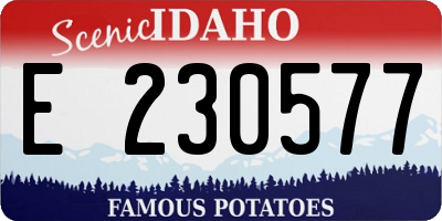 ID license plate E230577