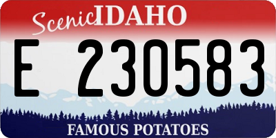 ID license plate E230583