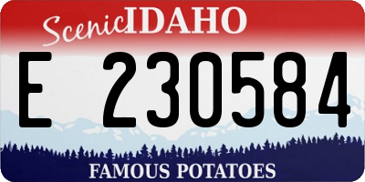 ID license plate E230584