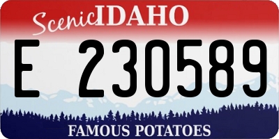 ID license plate E230589