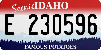 ID license plate E230596
