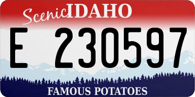 ID license plate E230597