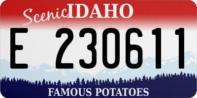 ID license plate E230611