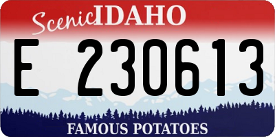 ID license plate E230613