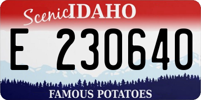 ID license plate E230640