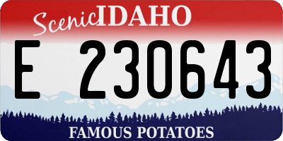 ID license plate E230643