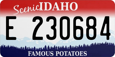 ID license plate E230684