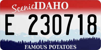 ID license plate E230718