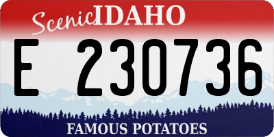 ID license plate E230736