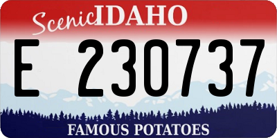 ID license plate E230737