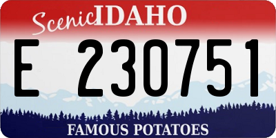 ID license plate E230751