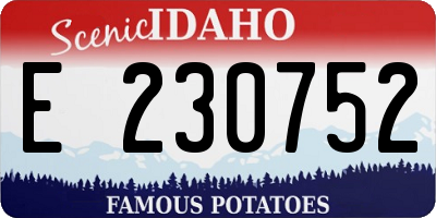 ID license plate E230752