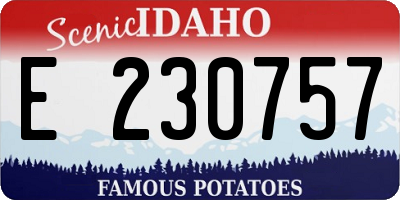 ID license plate E230757