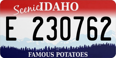 ID license plate E230762
