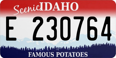 ID license plate E230764
