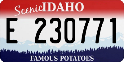 ID license plate E230771