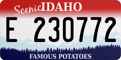 ID license plate E230772